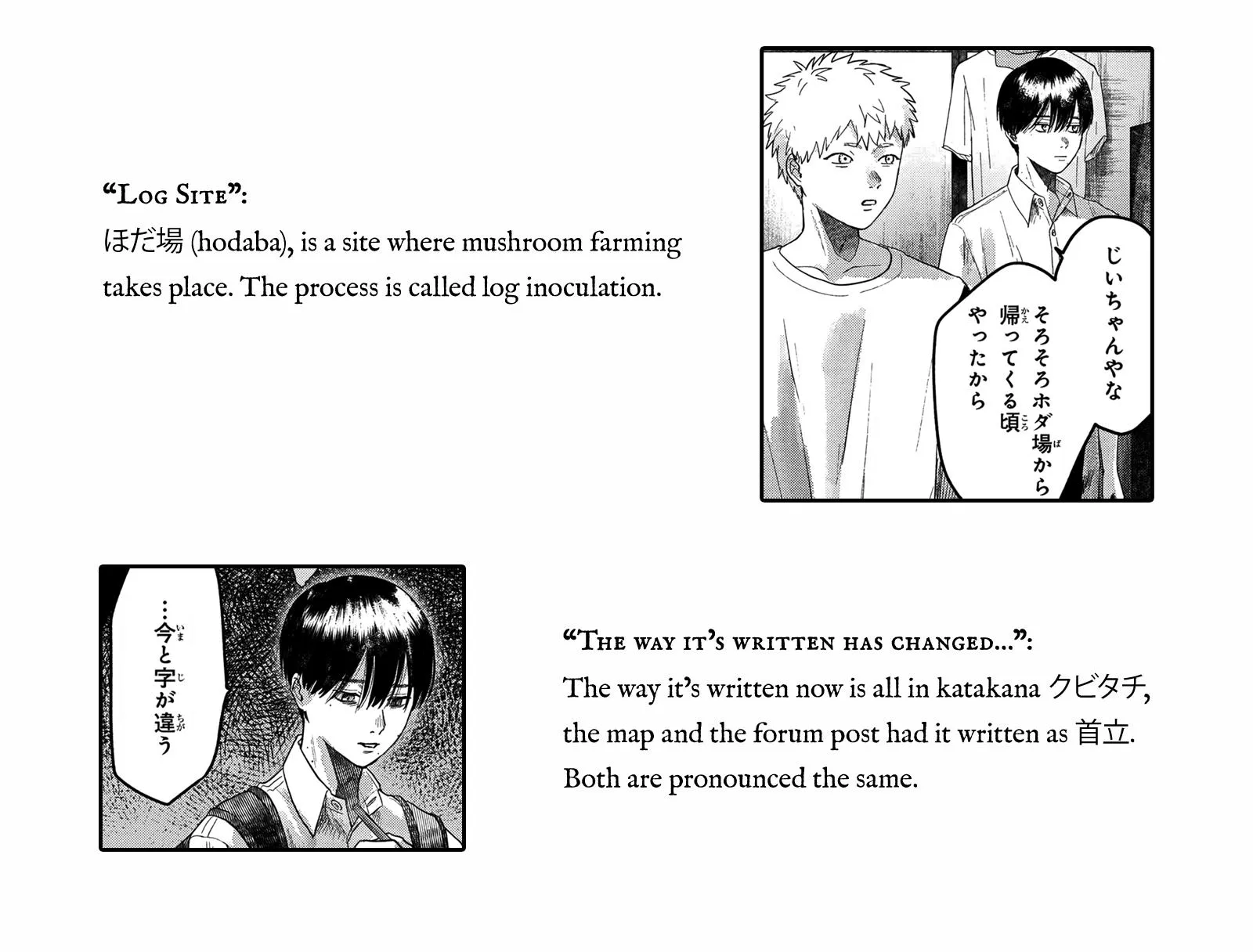 Read The Summer Hikaru Died EN Manga Online