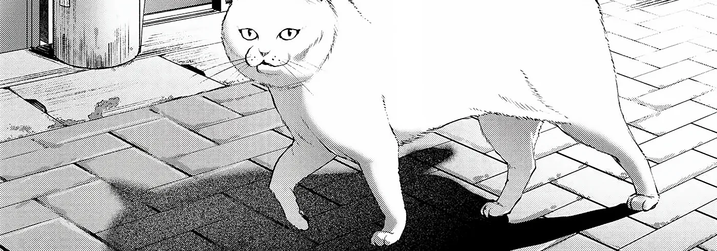 Read The Summer Hikaru Died EN Manga Online