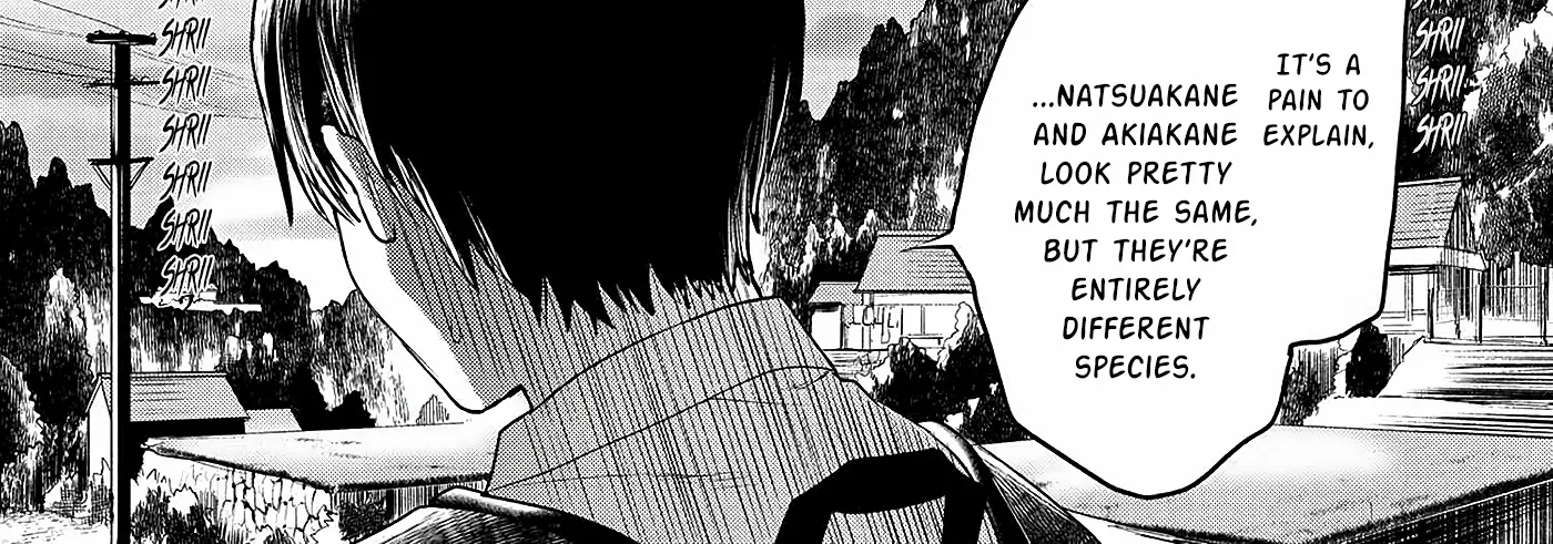 Read The Summer Hikaru Died EN Manga Online