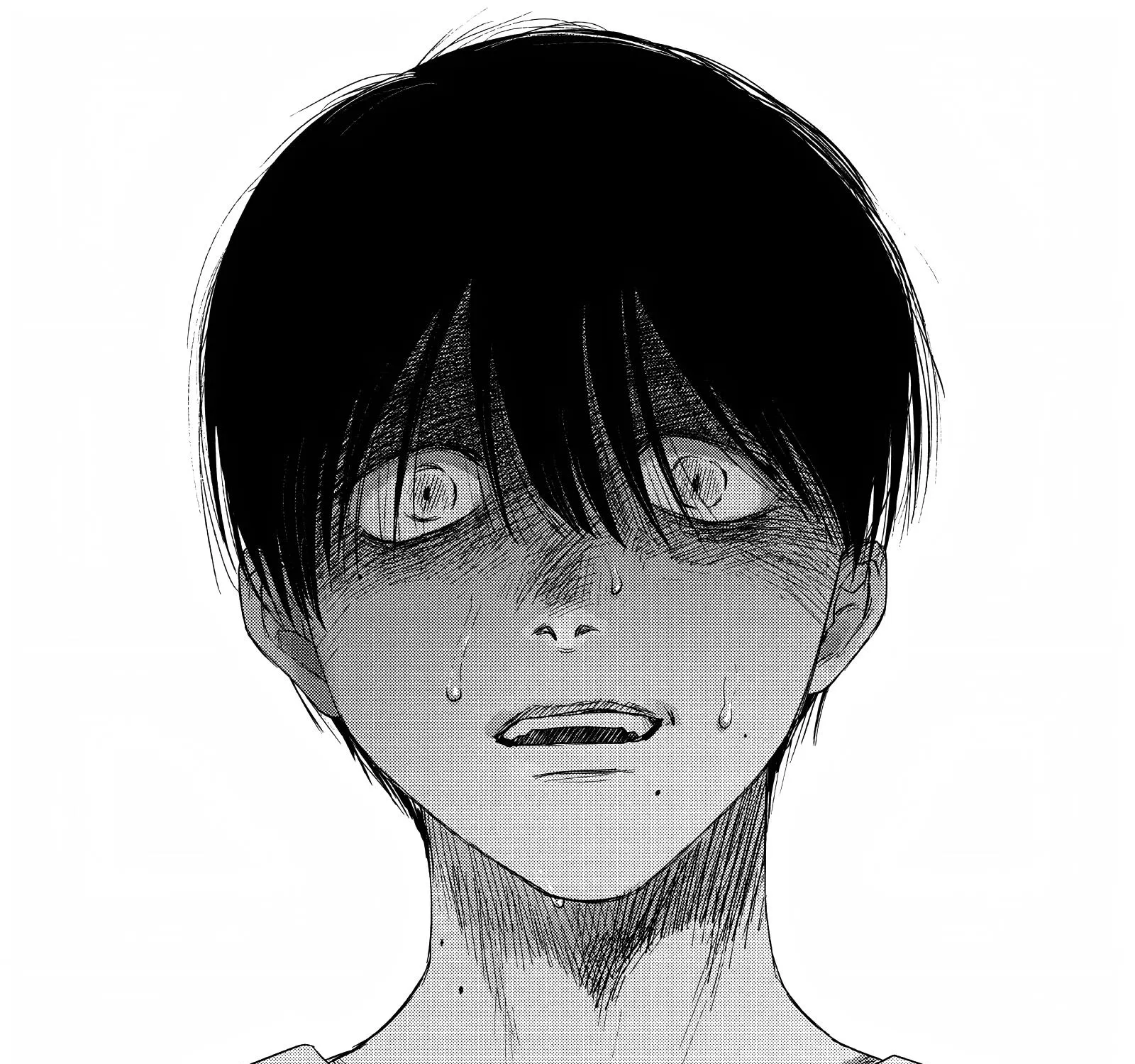 Read The Summer Hikaru Died EN Manga Online