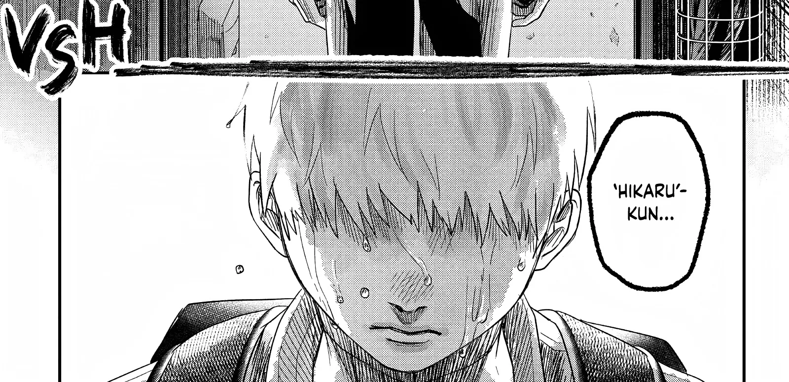 Read The Summer Hikaru Died EN Manga Online