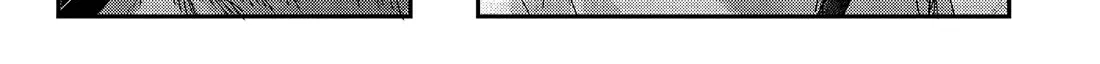 Read The Summer Hikaru Died EN Manga Online