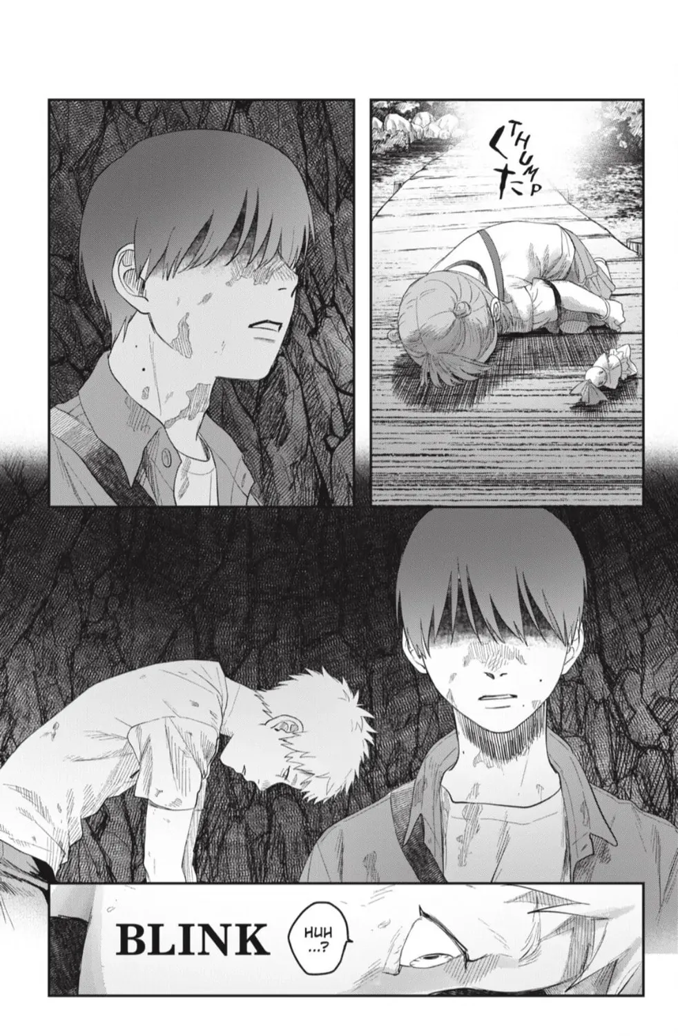 Read The Summer Hikaru Died EN Manga Online