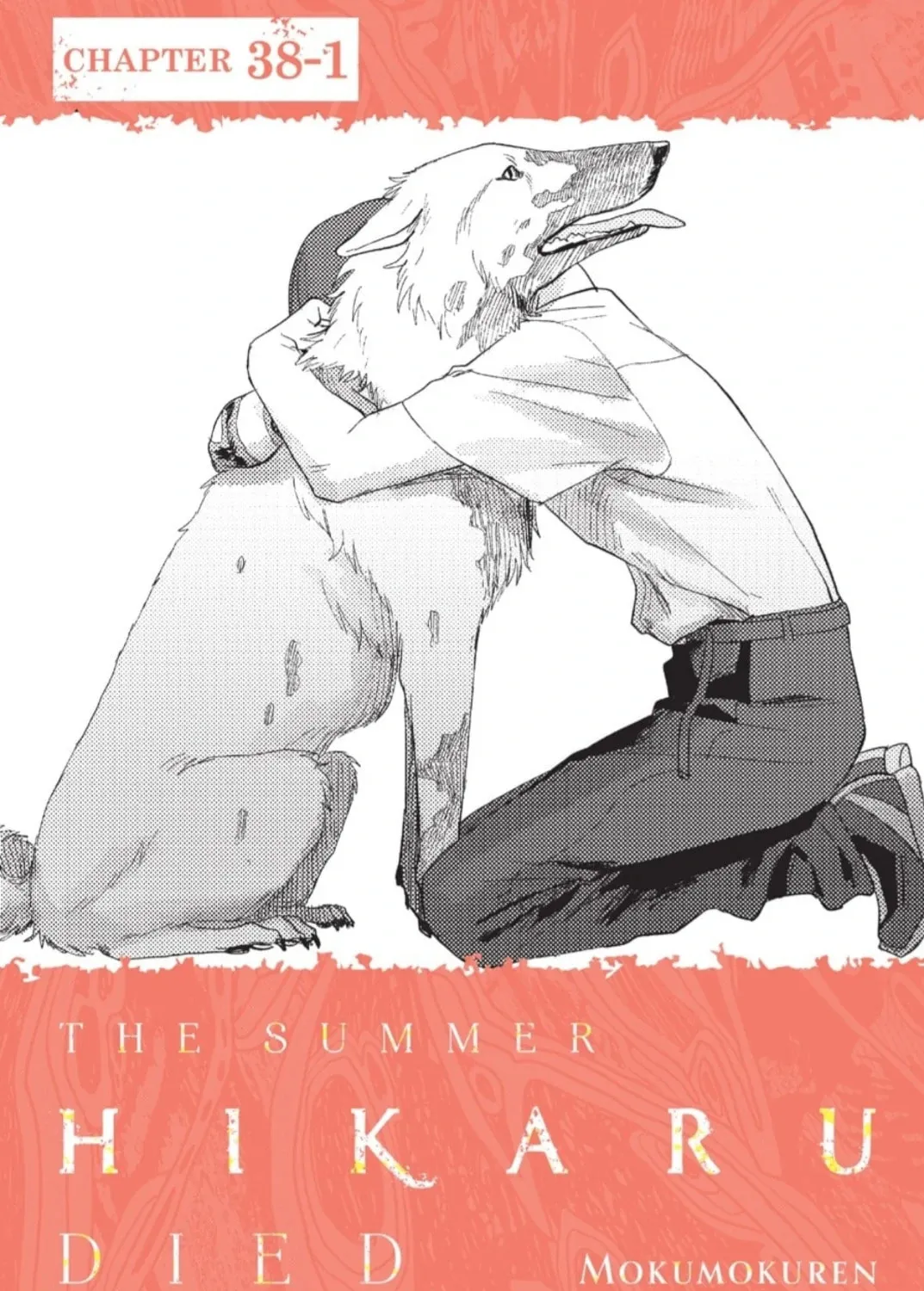 Read The Summer Hikaru Died EN Manga Online
