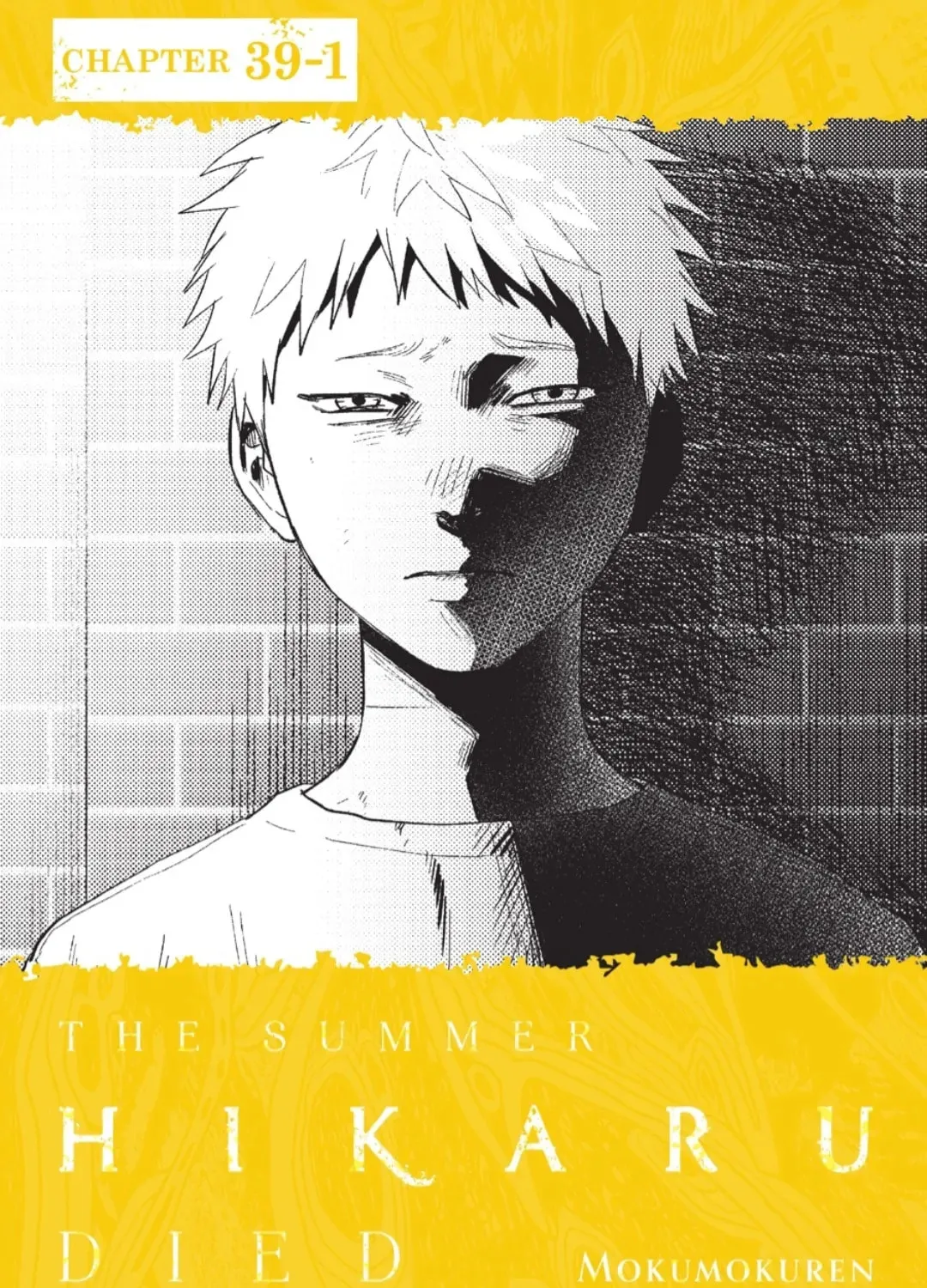 Read The Summer Hikaru Died EN Manga Online
