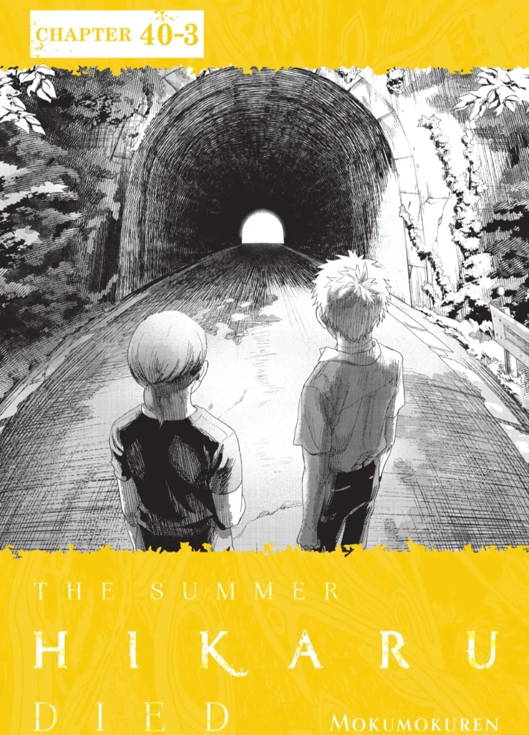 Read The Summer Hikaru Died EN Manga Online