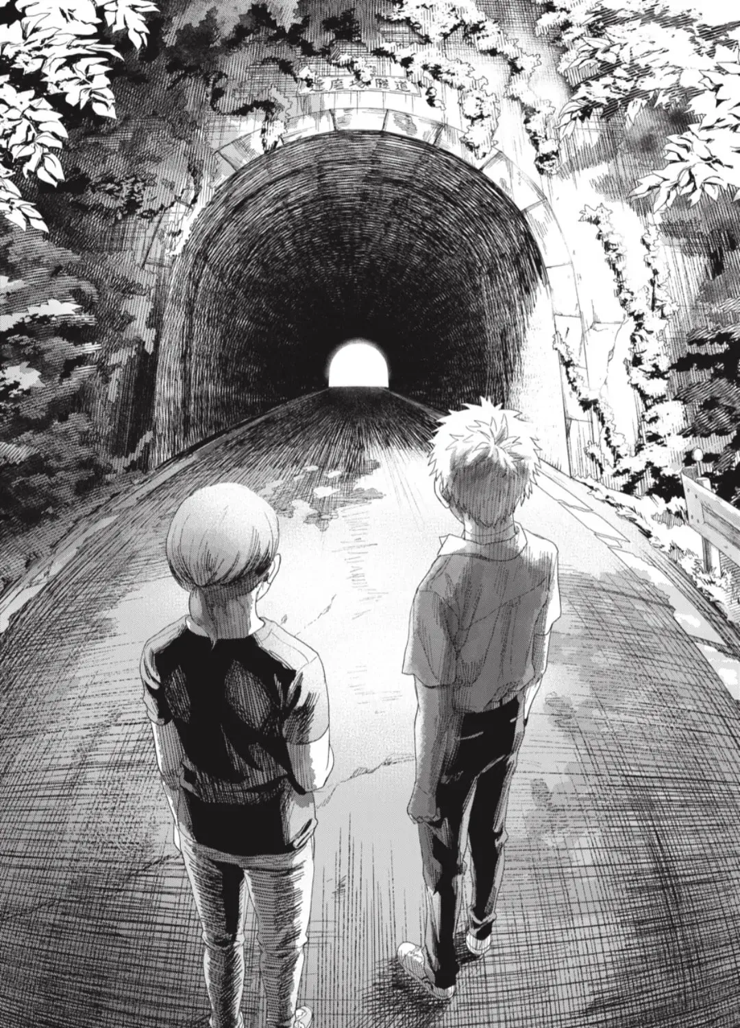 Read The Summer Hikaru Died EN Manga Online