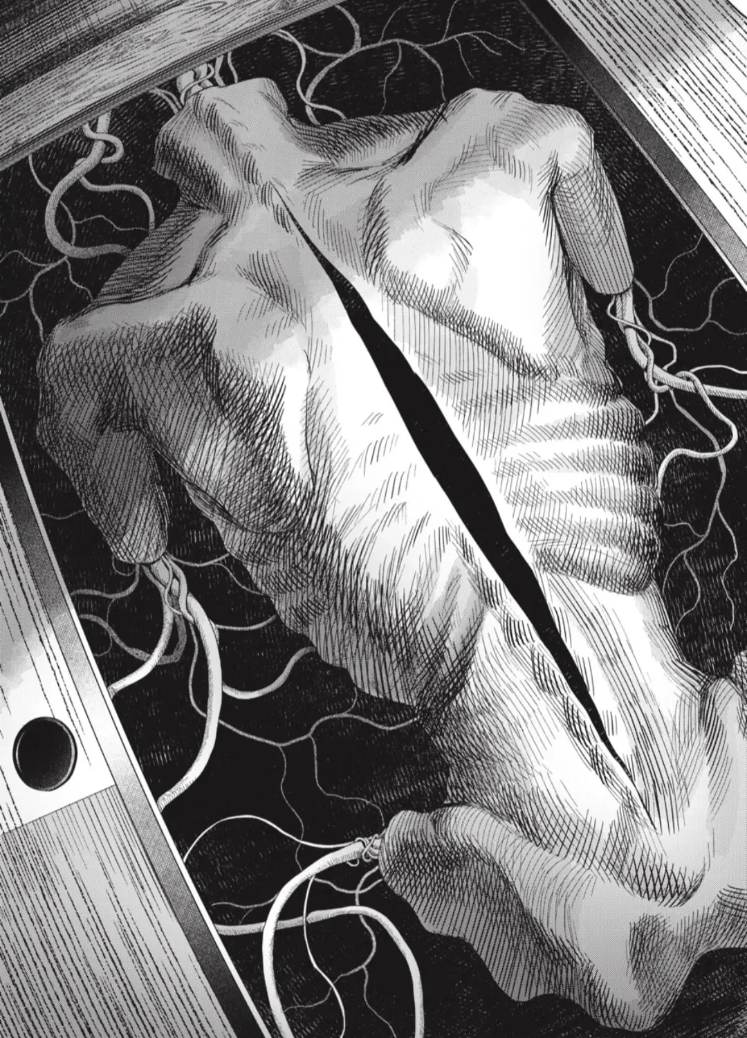 Read The Summer Hikaru Died EN Manga Online