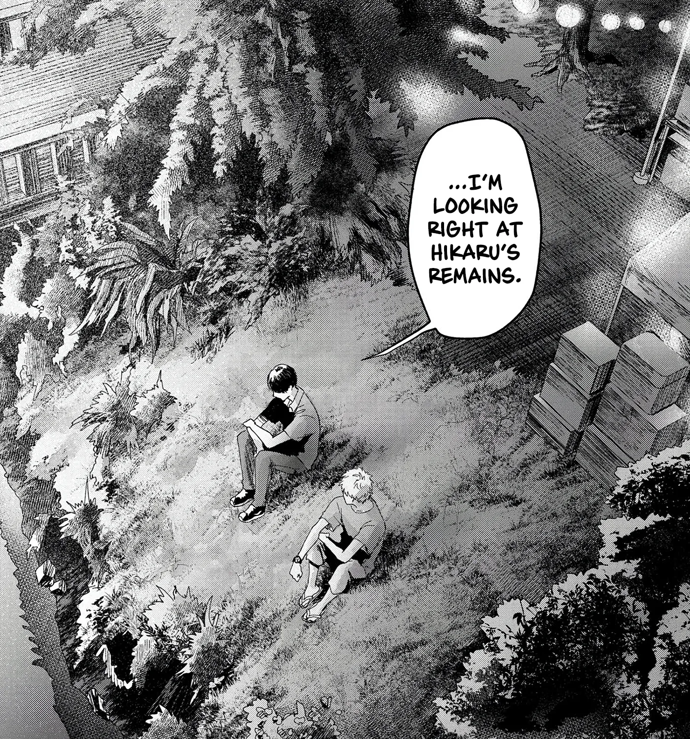 Read The Summer Hikaru Died EN Manga Online