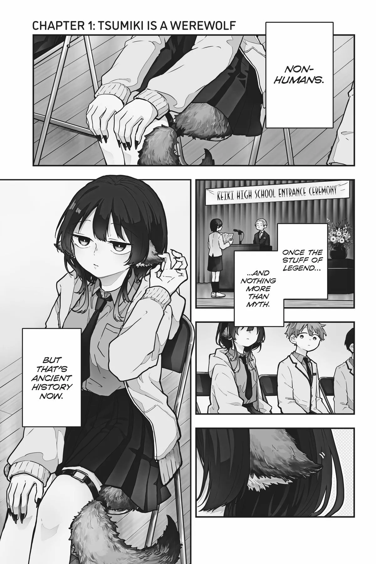 Read Tsumiki Ogamis Not So Ordinary Life EN Manga Online