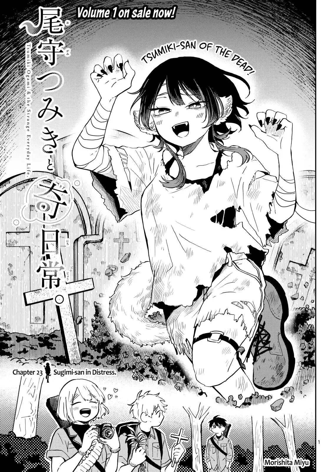 Read Tsumiki Ogamis Not So Ordinary Life EN Manga Online