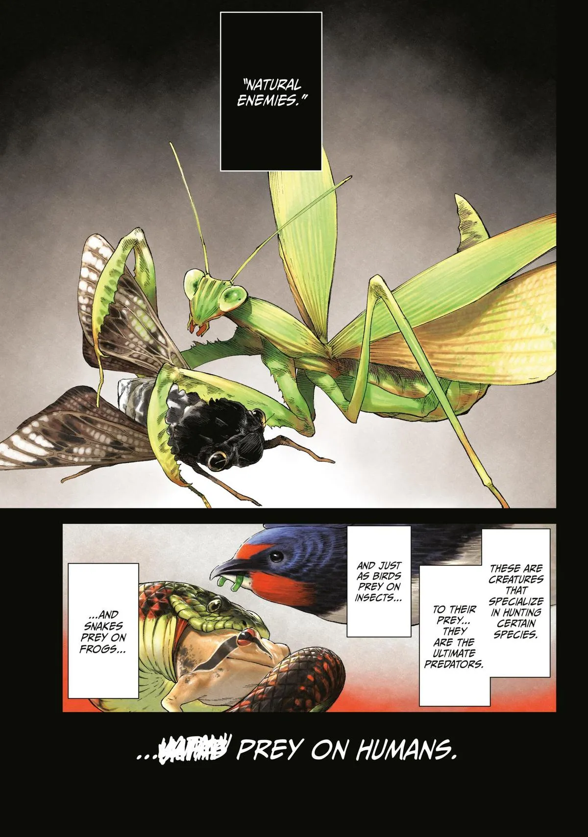 Read VERSUS EN Manga Online