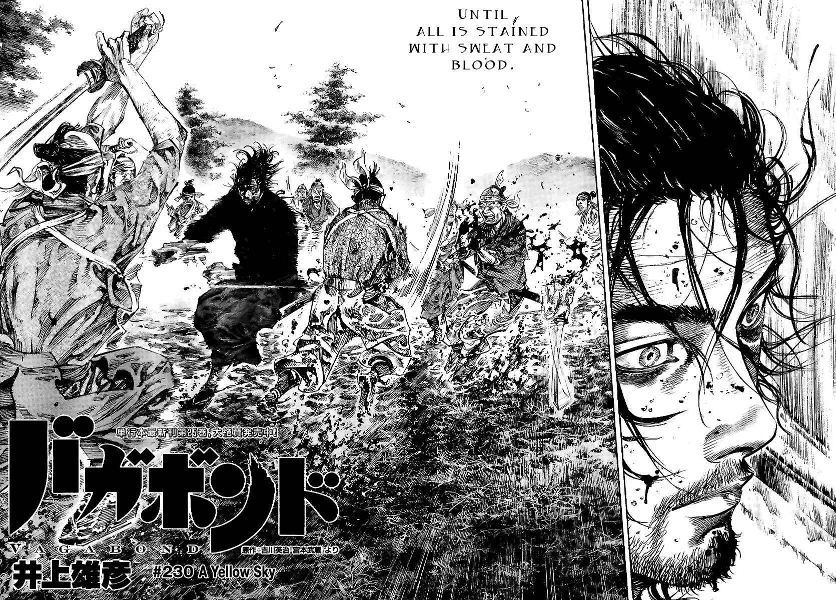 Read Vagabond EN Manga Online