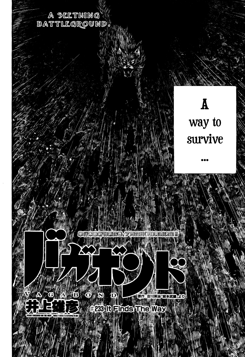 Read Vagabond EN Manga Online
