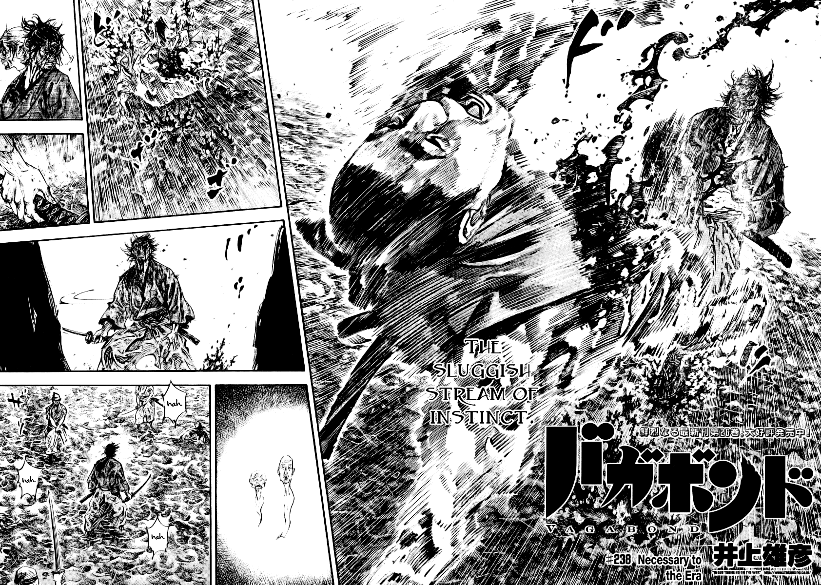 Read Vagabond EN Manga Online