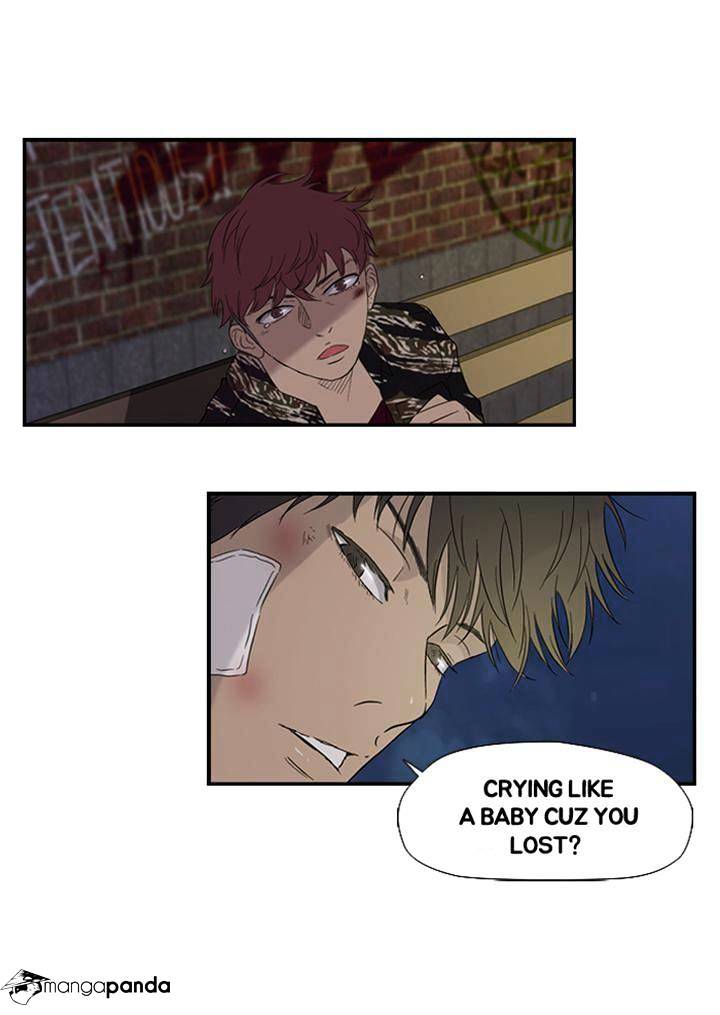 Read Wind Breaker EN Manga Online