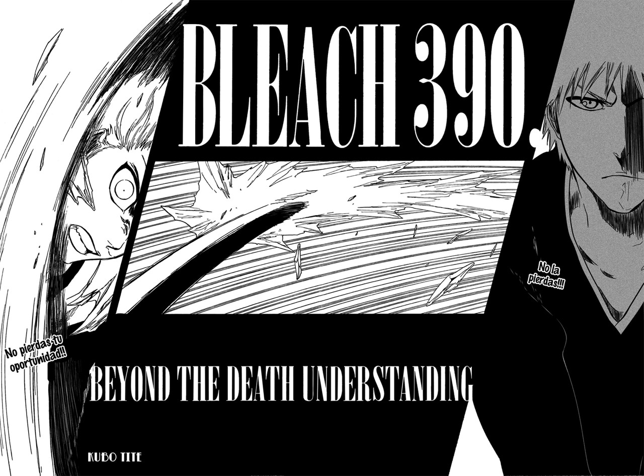 Read Bleach ES Manga Online