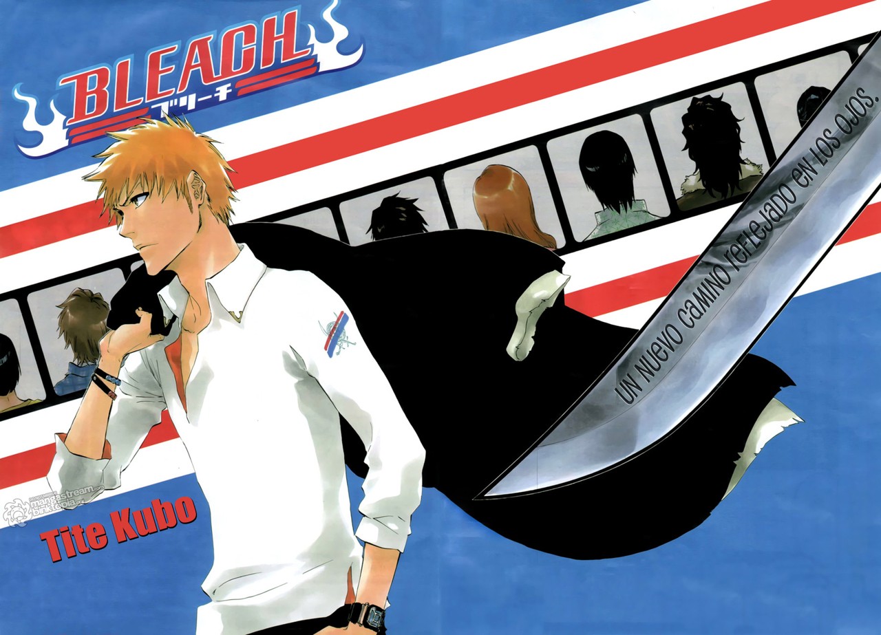 Read Bleach ES Manga Online