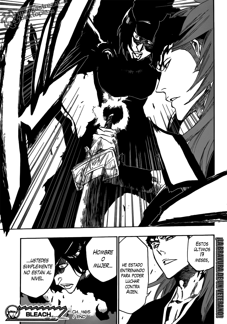 Read Bleach ES Manga Online
