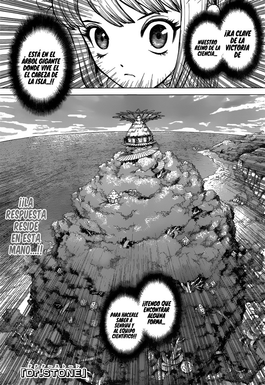 Read Dr Stone ES Manga Online