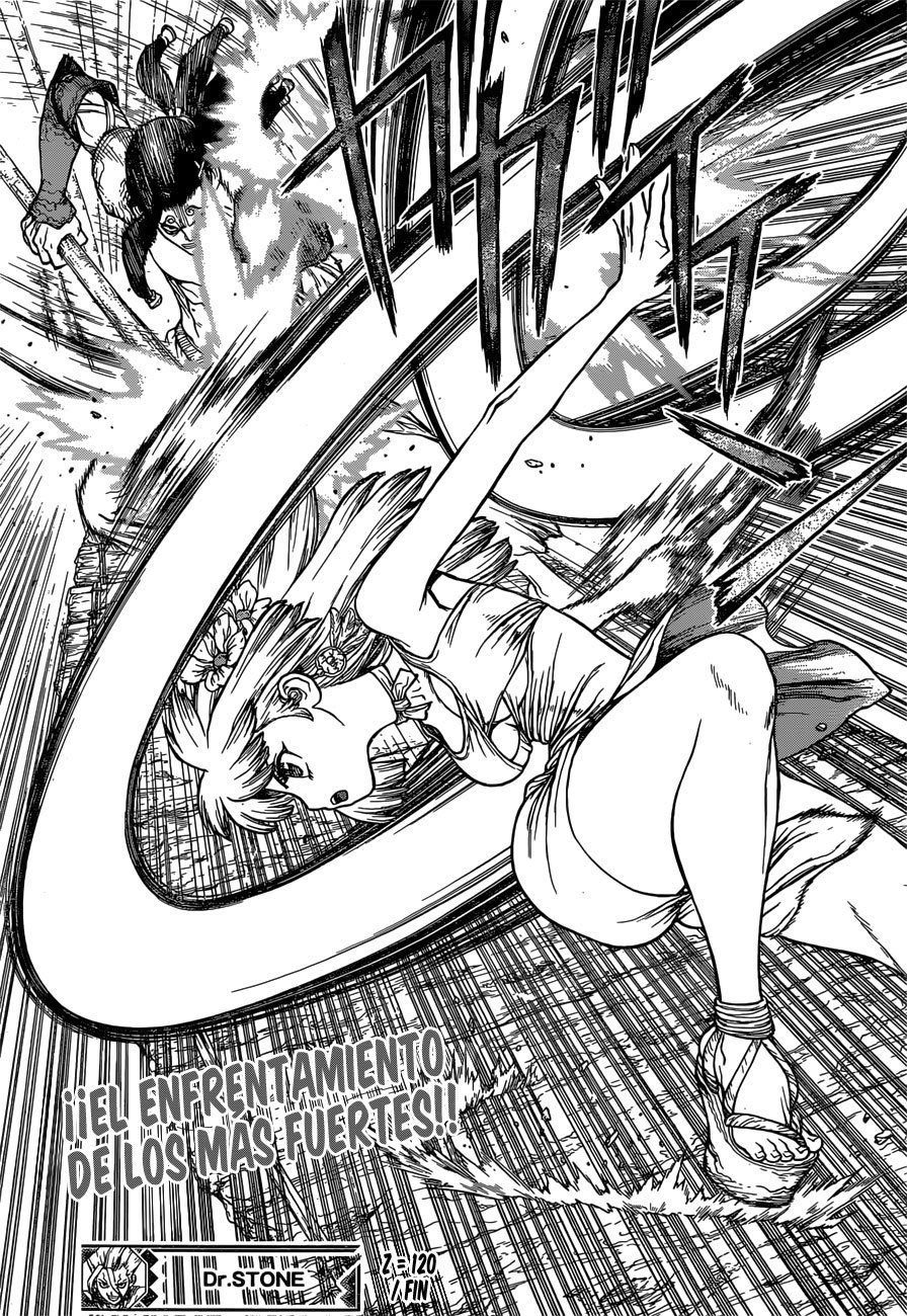 Read Dr Stone ES Manga Online