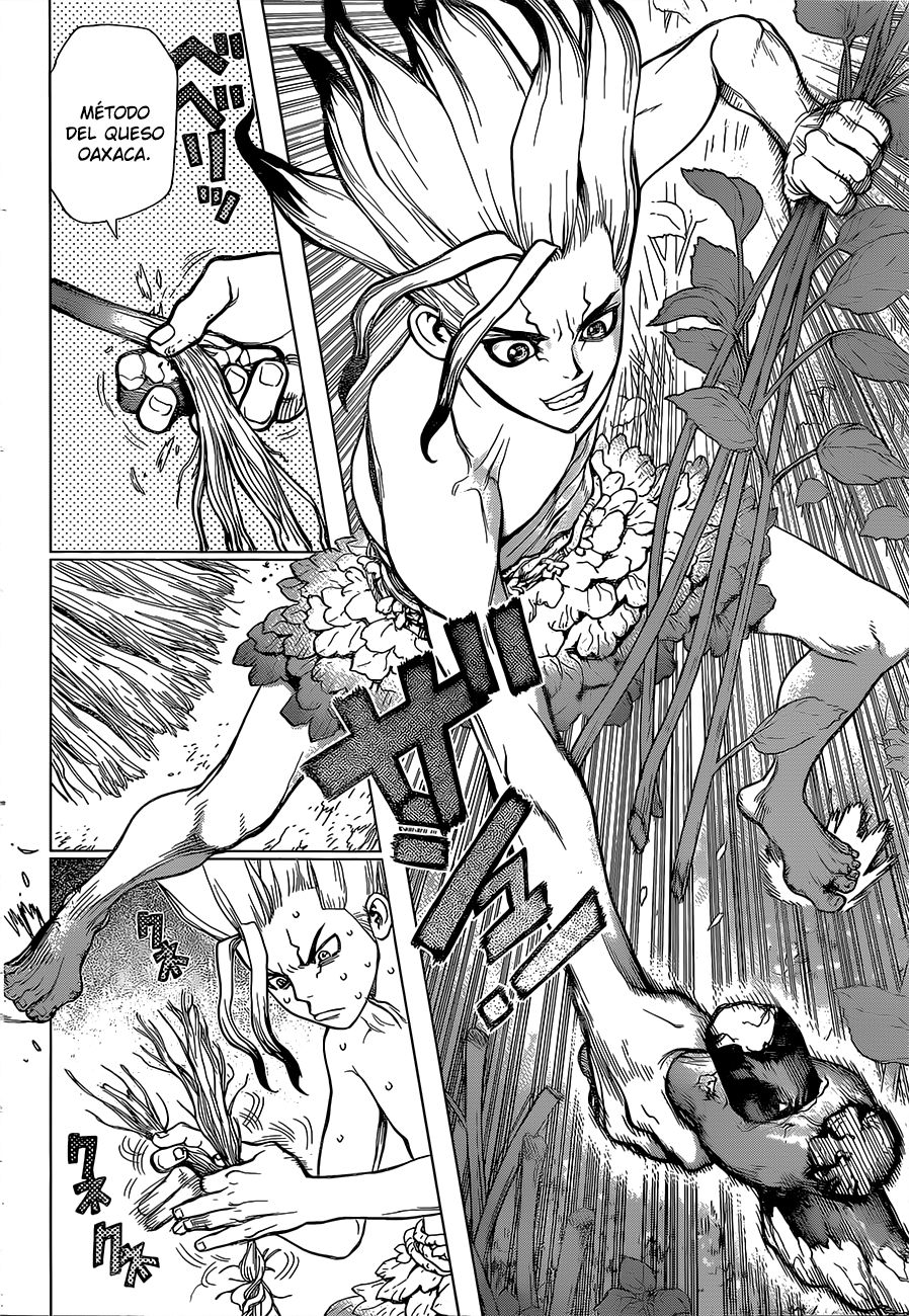 Read Dr Stone ES Manga Online