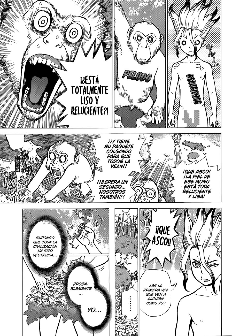 Read Dr Stone ES Manga Online