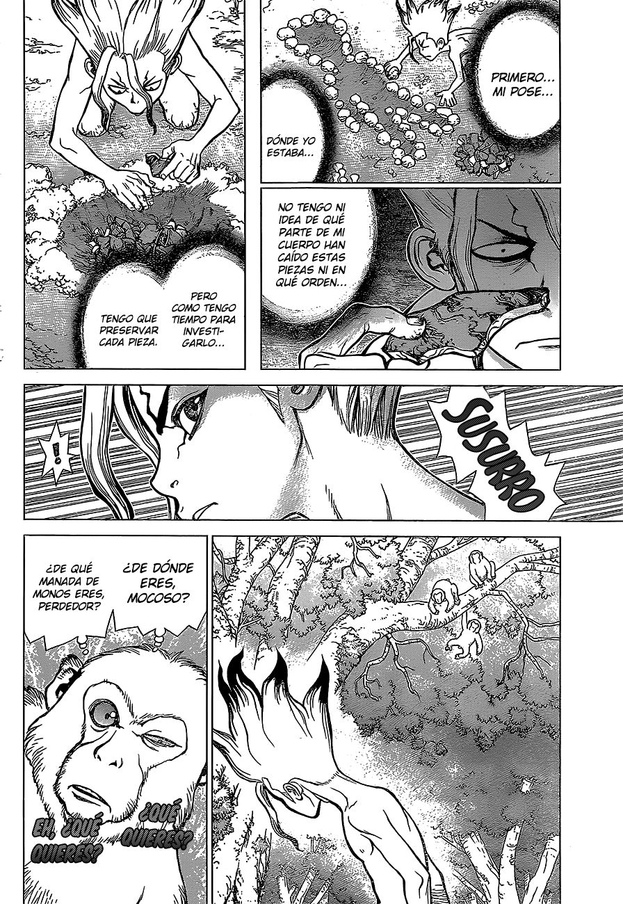 Read Dr Stone ES Manga Online