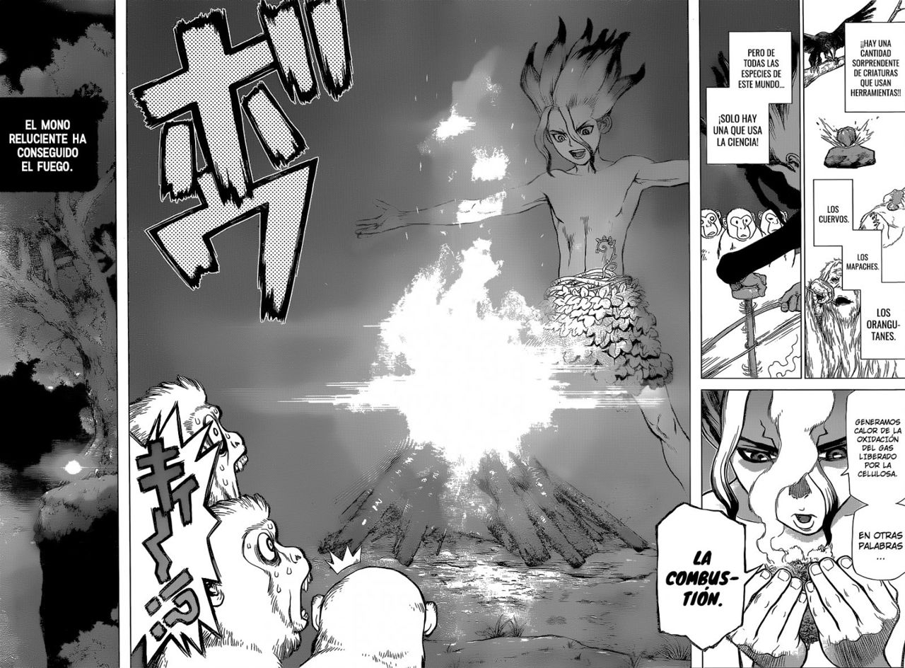 Read Dr Stone ES Manga Online