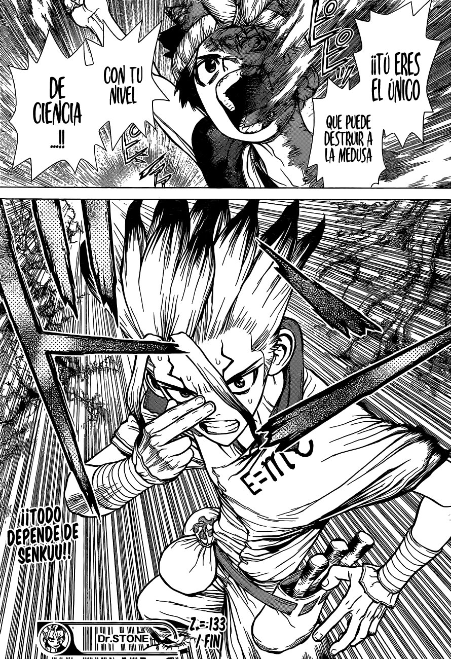 Read Dr Stone ES Manga Online