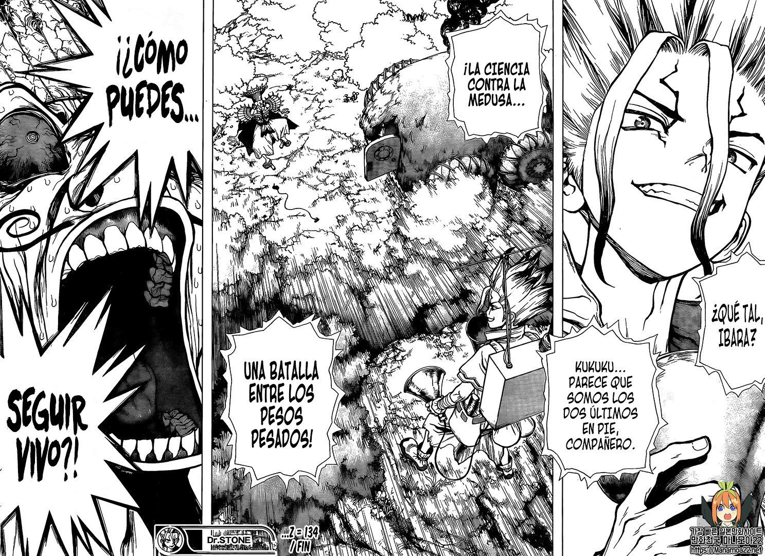 Read Dr Stone ES Manga Online