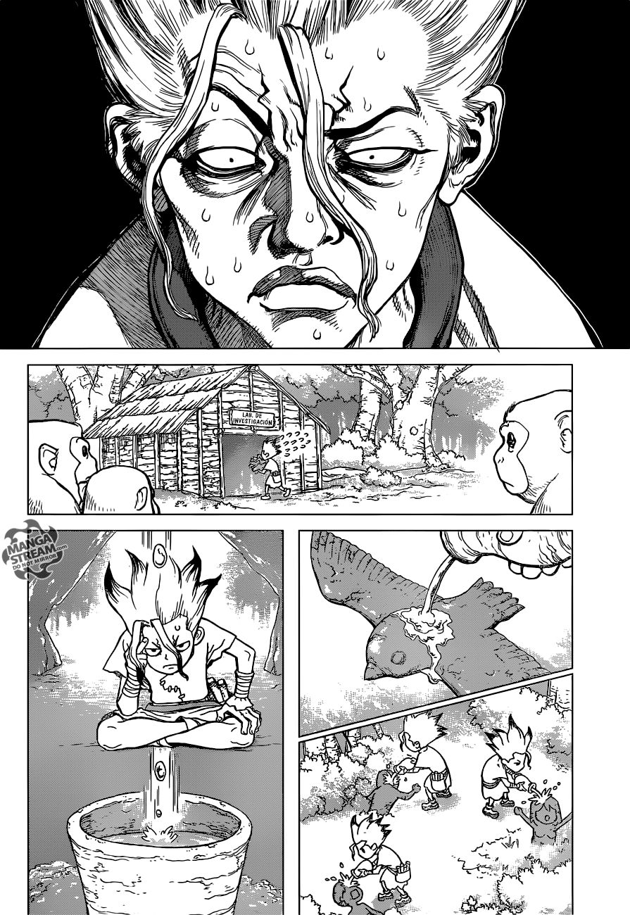 Read Dr Stone ES Manga Online
