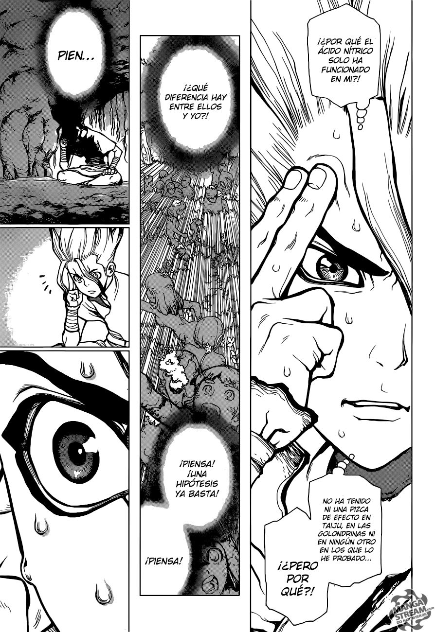 Read Dr Stone ES Manga Online