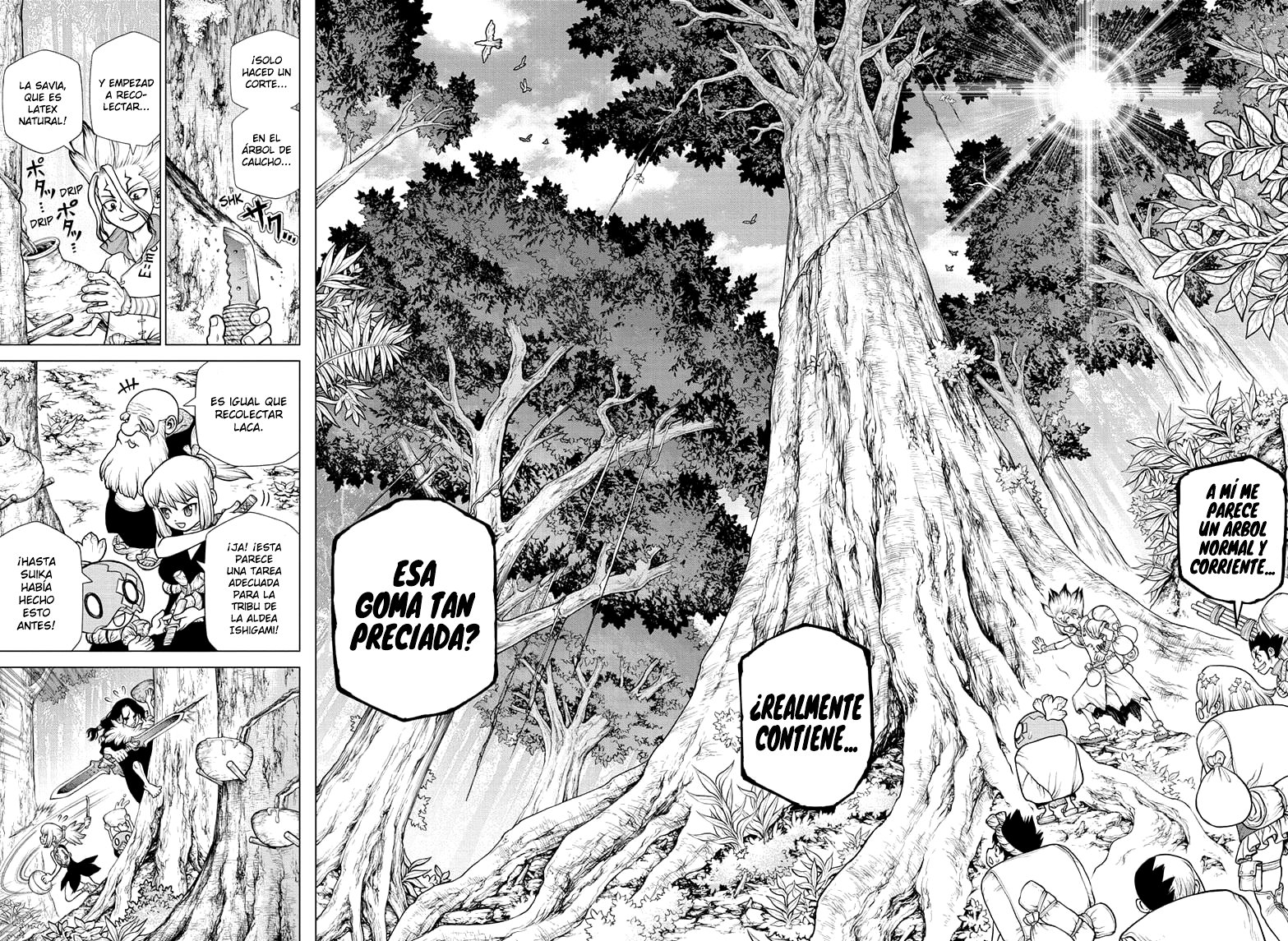 Read Dr Stone ES Manga Online