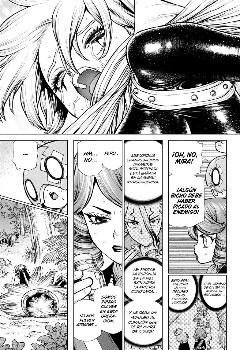 Read Dr Stone ES Manga Online