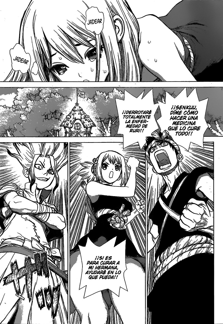 Read Dr Stone ES Manga Online