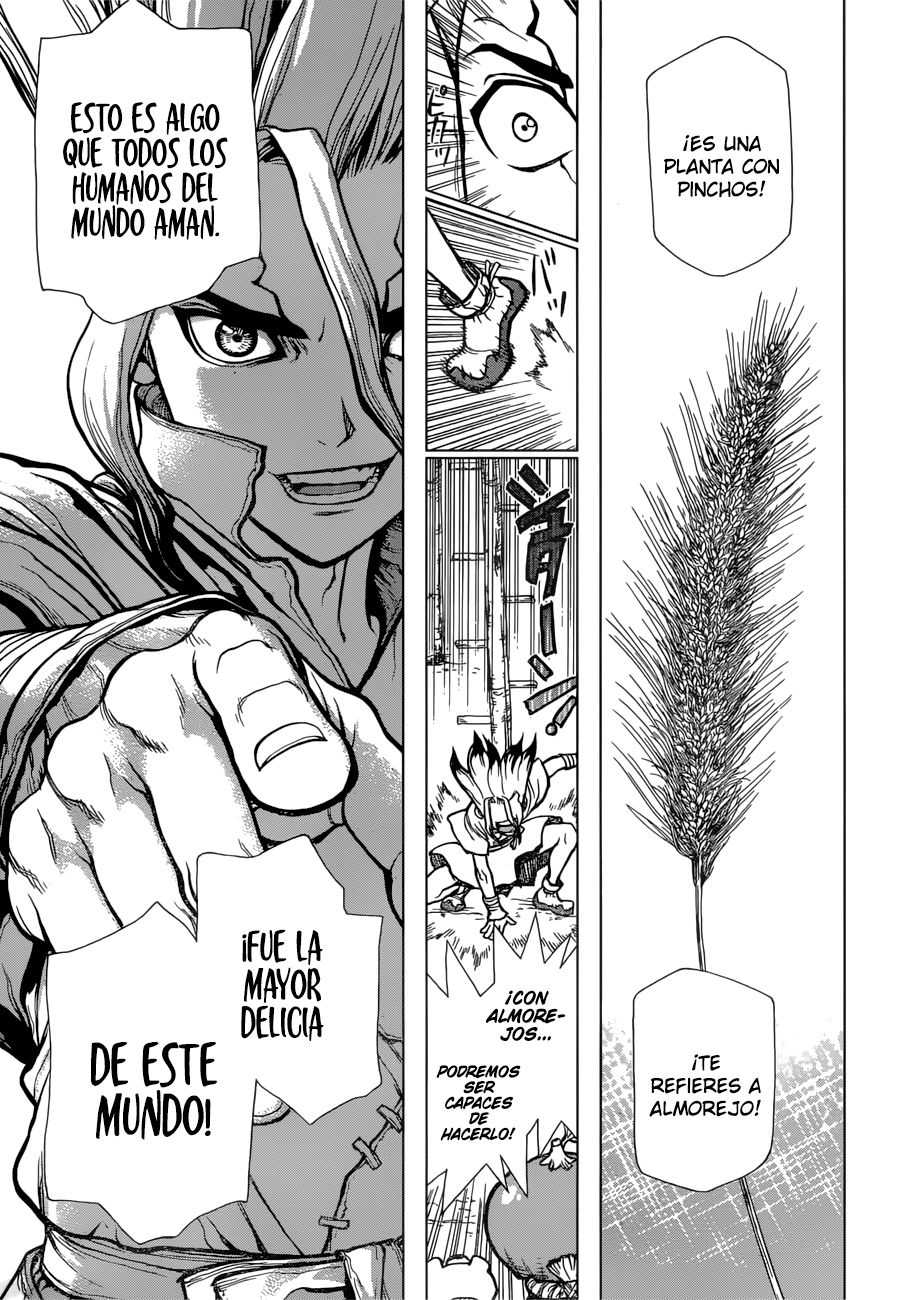 Read Dr Stone ES Manga Online