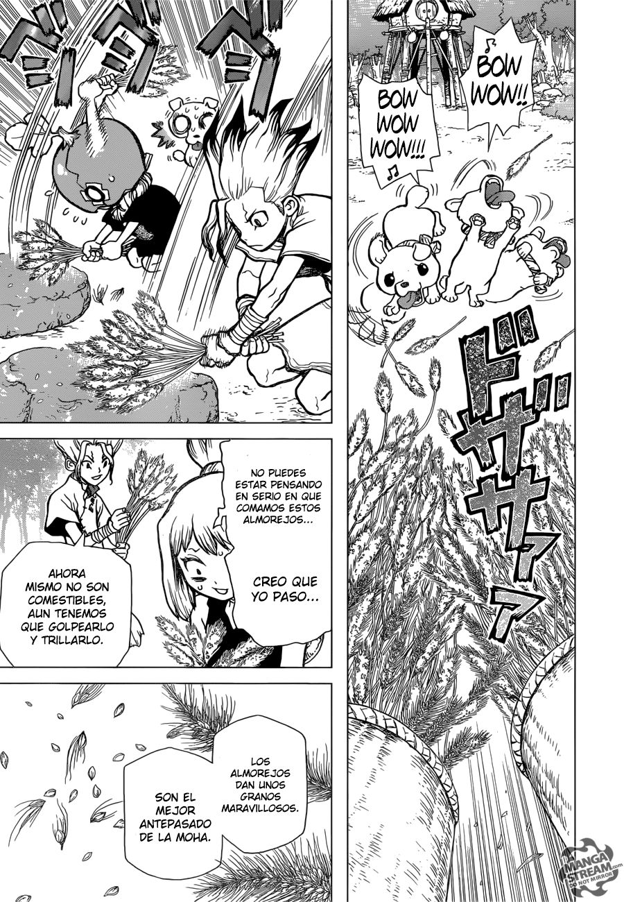 Read Dr Stone ES Manga Online