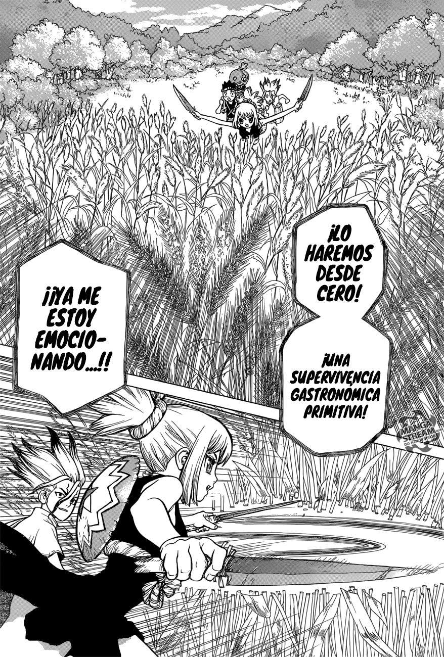 Read Dr Stone ES Manga Online