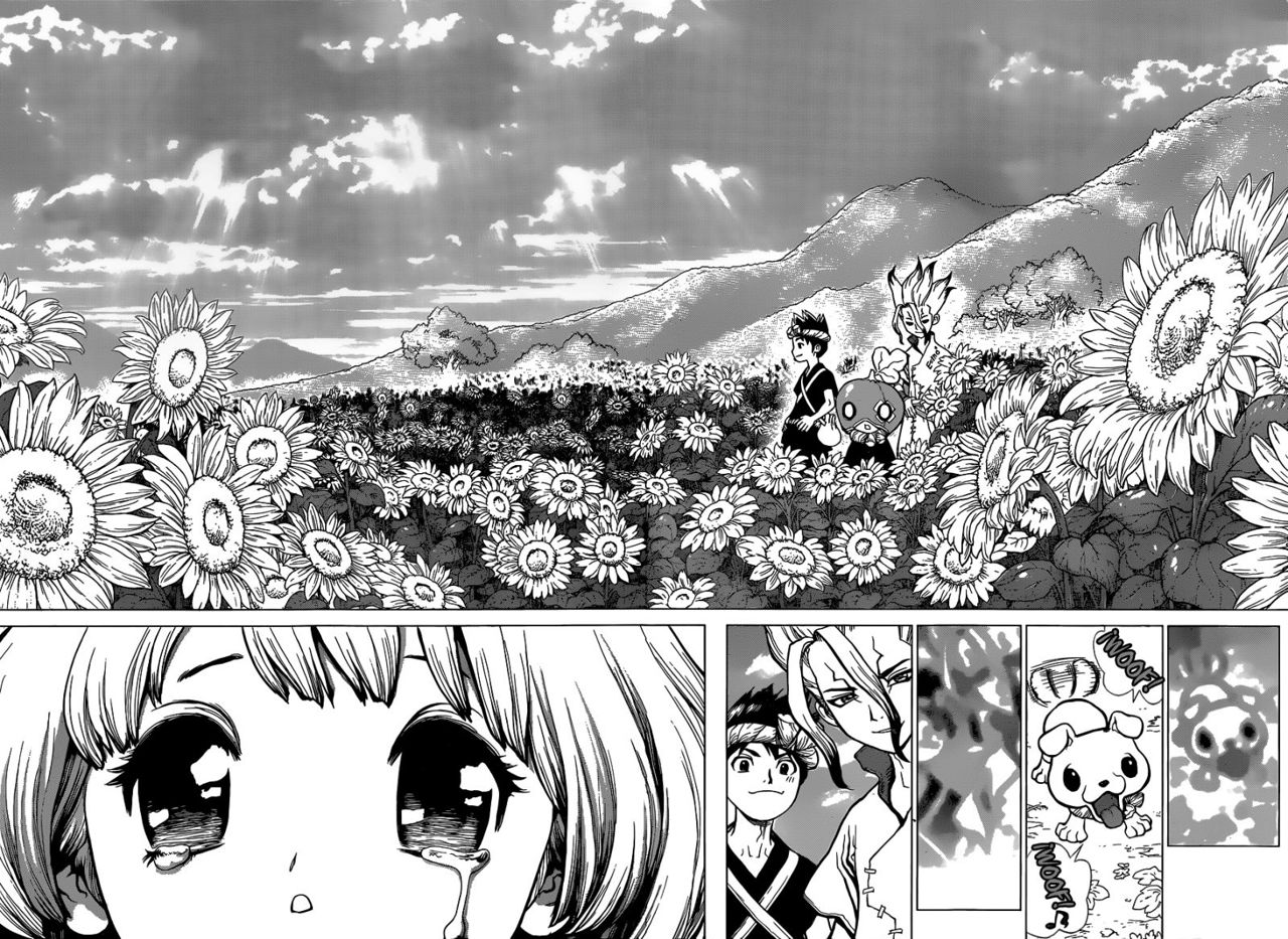 Read Dr Stone ES Manga Online