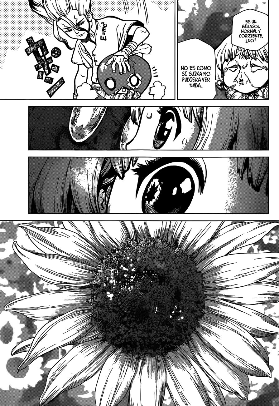 Read Dr Stone ES Manga Online