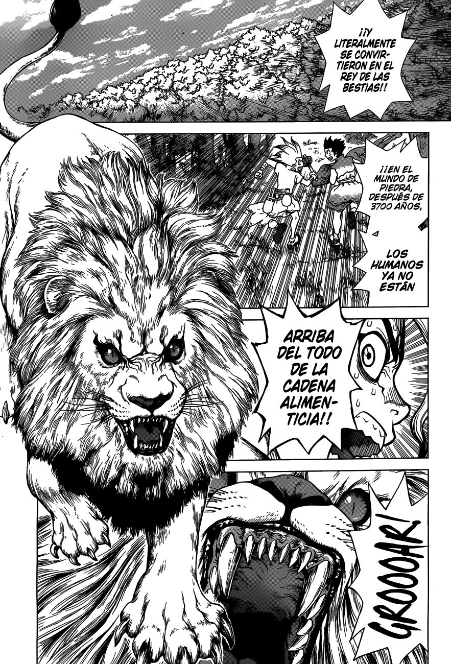 Read Dr Stone ES Manga Online