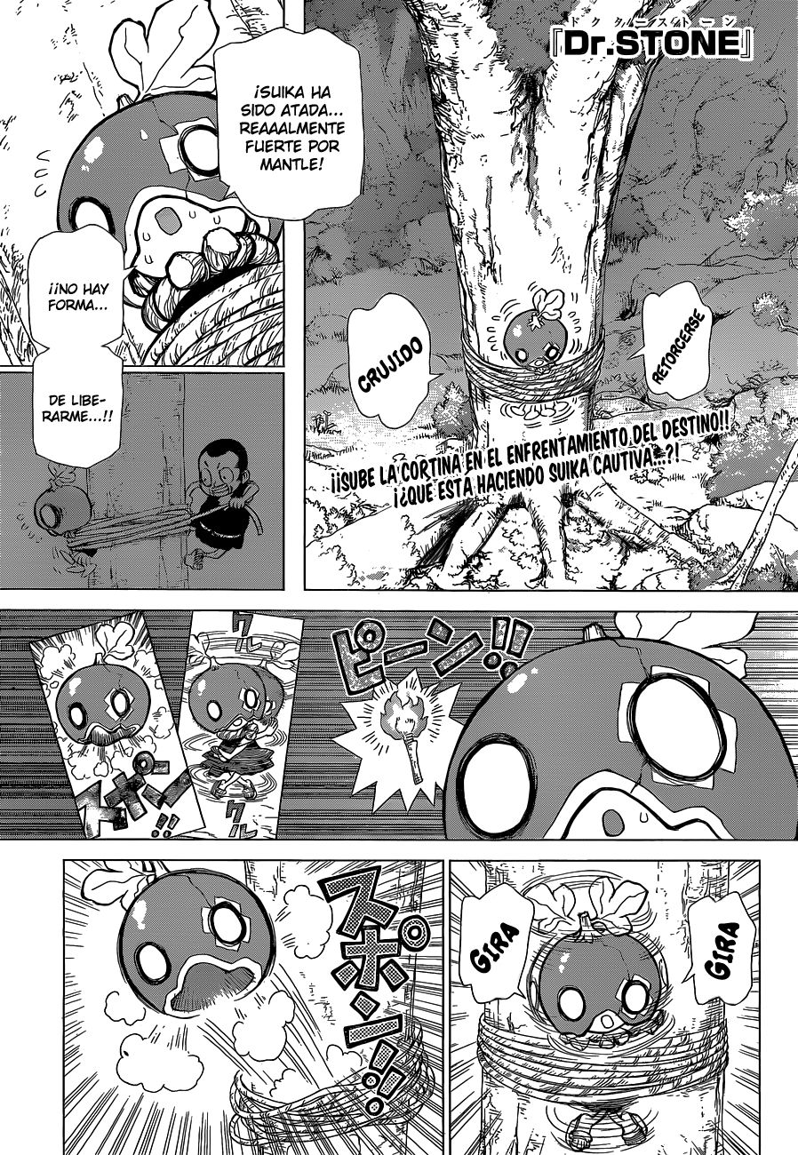 Read Dr Stone ES Manga Online