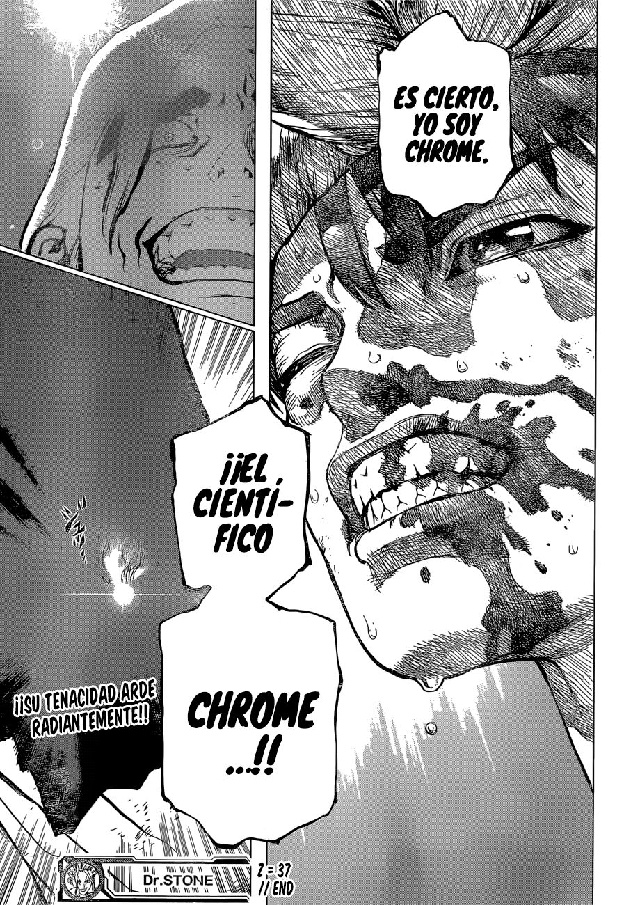 Read Dr Stone ES Manga Online