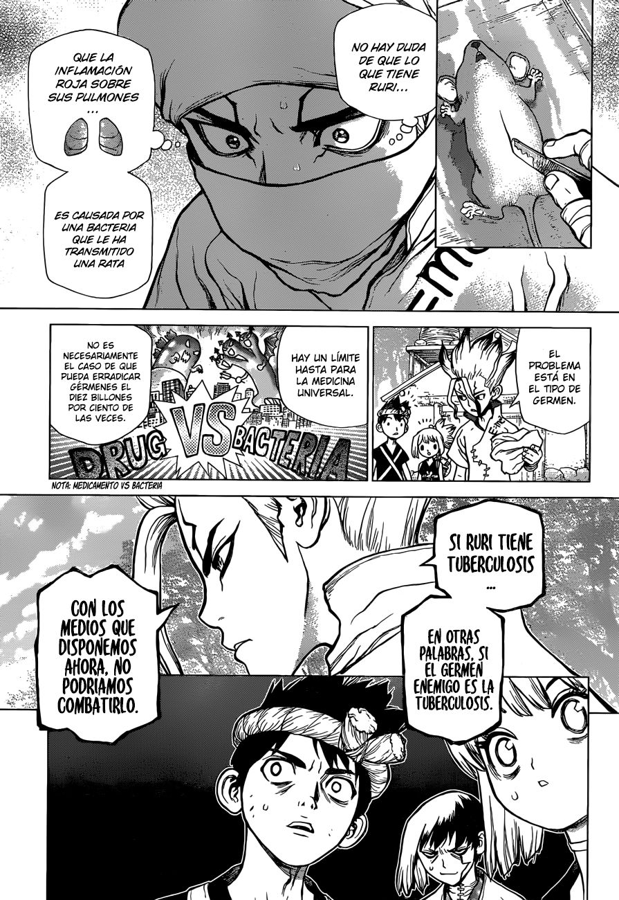 Read Dr Stone ES Manga Online