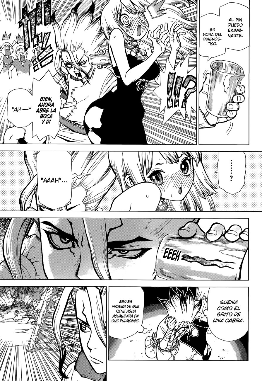 Read Dr Stone ES Manga Online