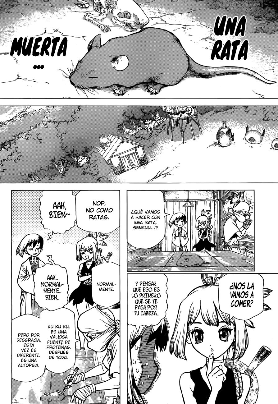 Read Dr Stone ES Manga Online