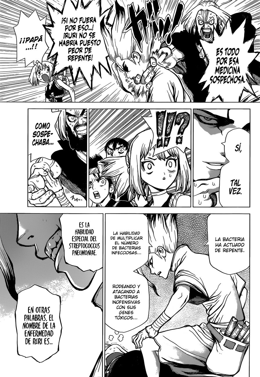 Read Dr Stone ES Manga Online