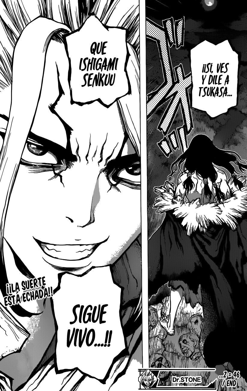 Read Dr Stone ES Manga Online