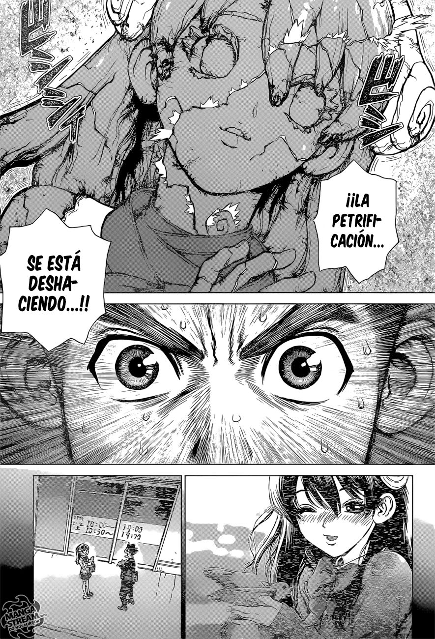 Read Dr Stone ES Manga Online
